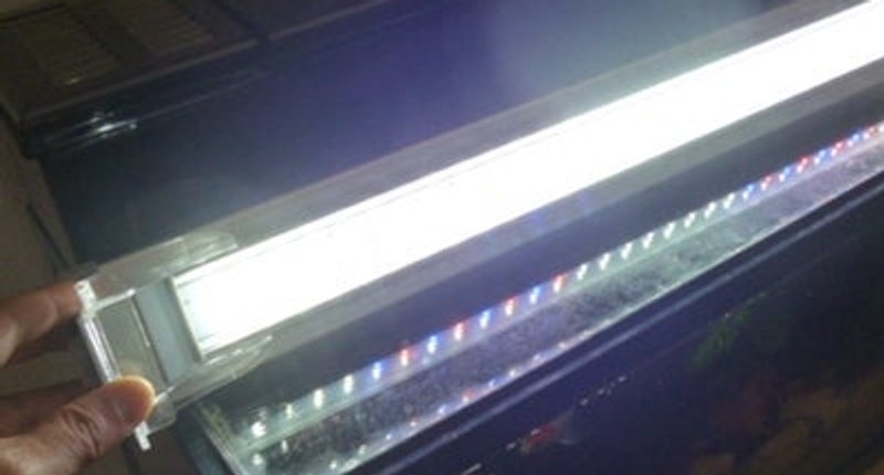 水槽用のLEDライトを点灯させたところ