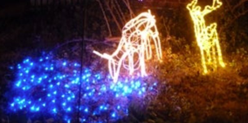光るトナカイと青い電飾のクリスマスイルミネーション
